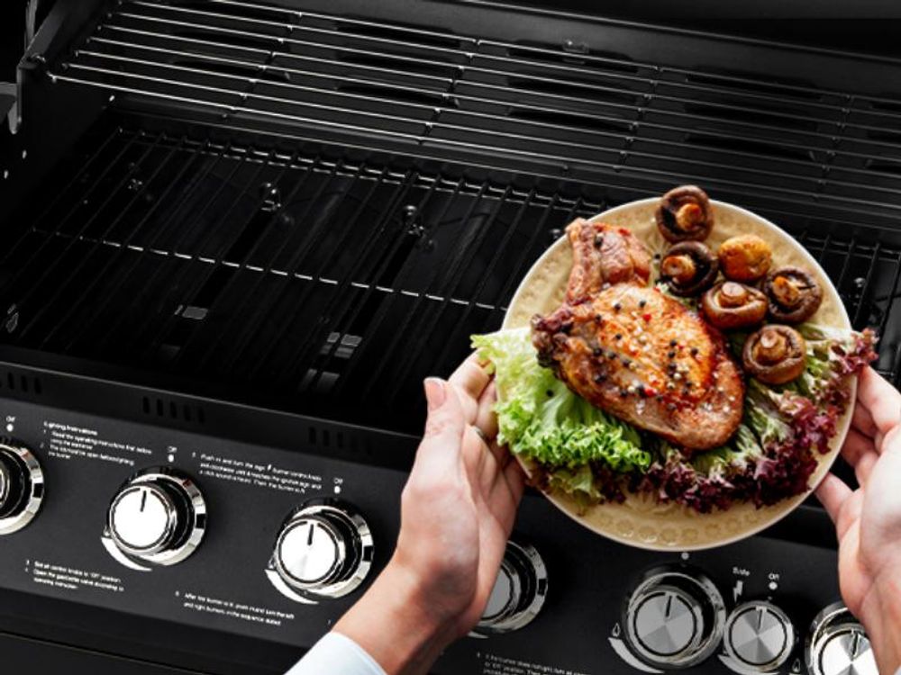 Teller mit gegrillter Hähnchenbrust und Champignons über der Grillfläche des BRANDO 6+1