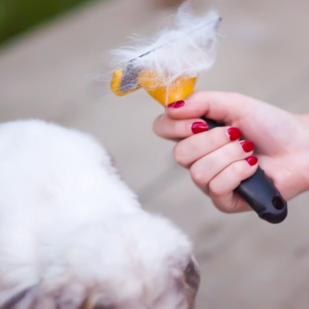 Fusselbürste Fusselrolle Tierhaarentferner Kleidung Fusselrasierer Fusselentferner Tierfell Tragbarer Clothes Fuzz Shaver Tierhaar Remover Retoo