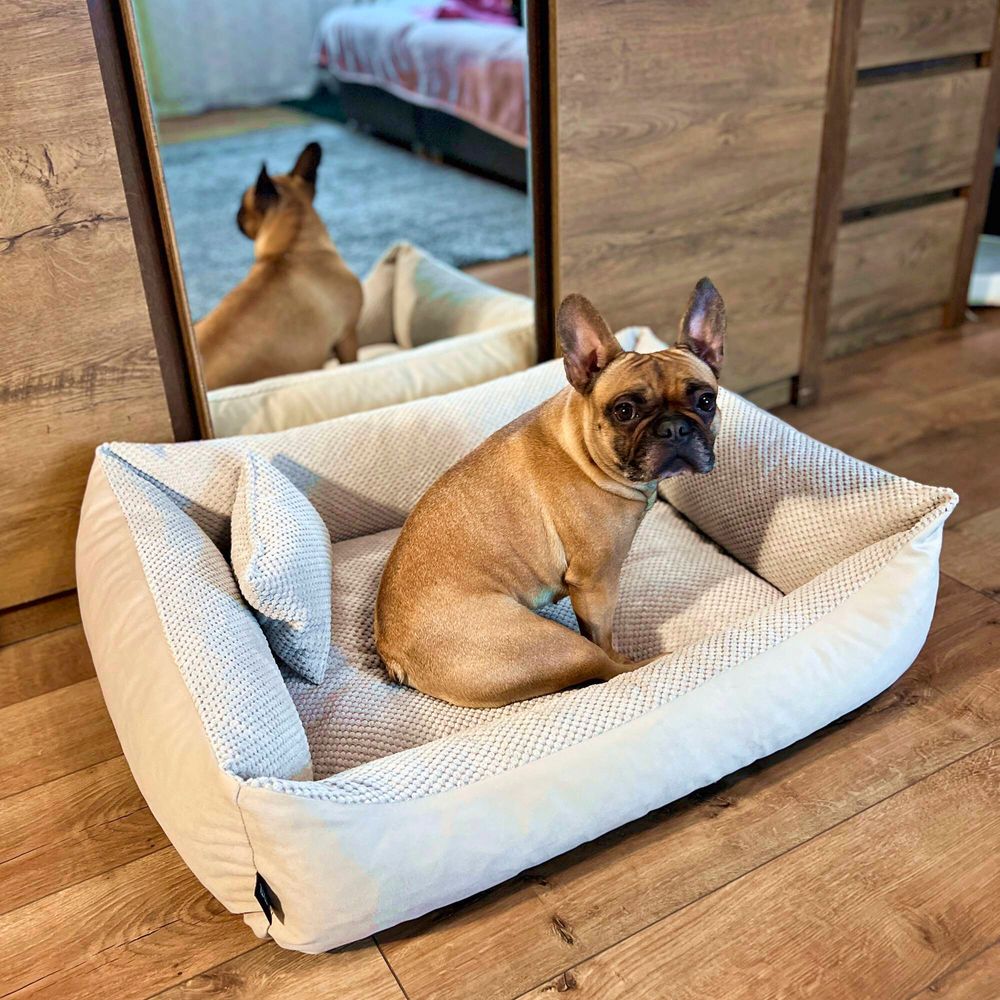 4L Textil TEO Hundekorb mittelgroße Hunde Kuscheliges Hundebett mit Bezug Hundekissen flauschig Hundekörbchen Hundesofa (120x100 cm, Beige)