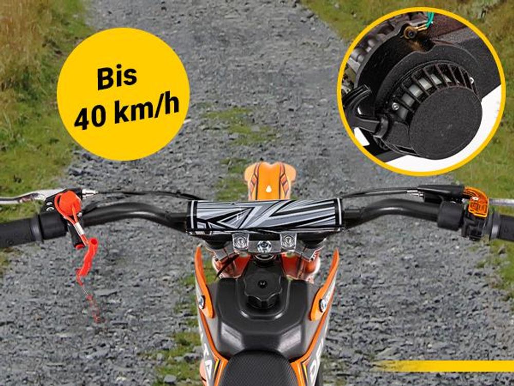 Actionbikes Motors Jugend Mini Crossbike Delta 49ccm | 2 Takt - Bis zu 40 km/h - Motorcrossbike - Pocketbike - Cross Dirt Bike - Motorrad (Grün)
