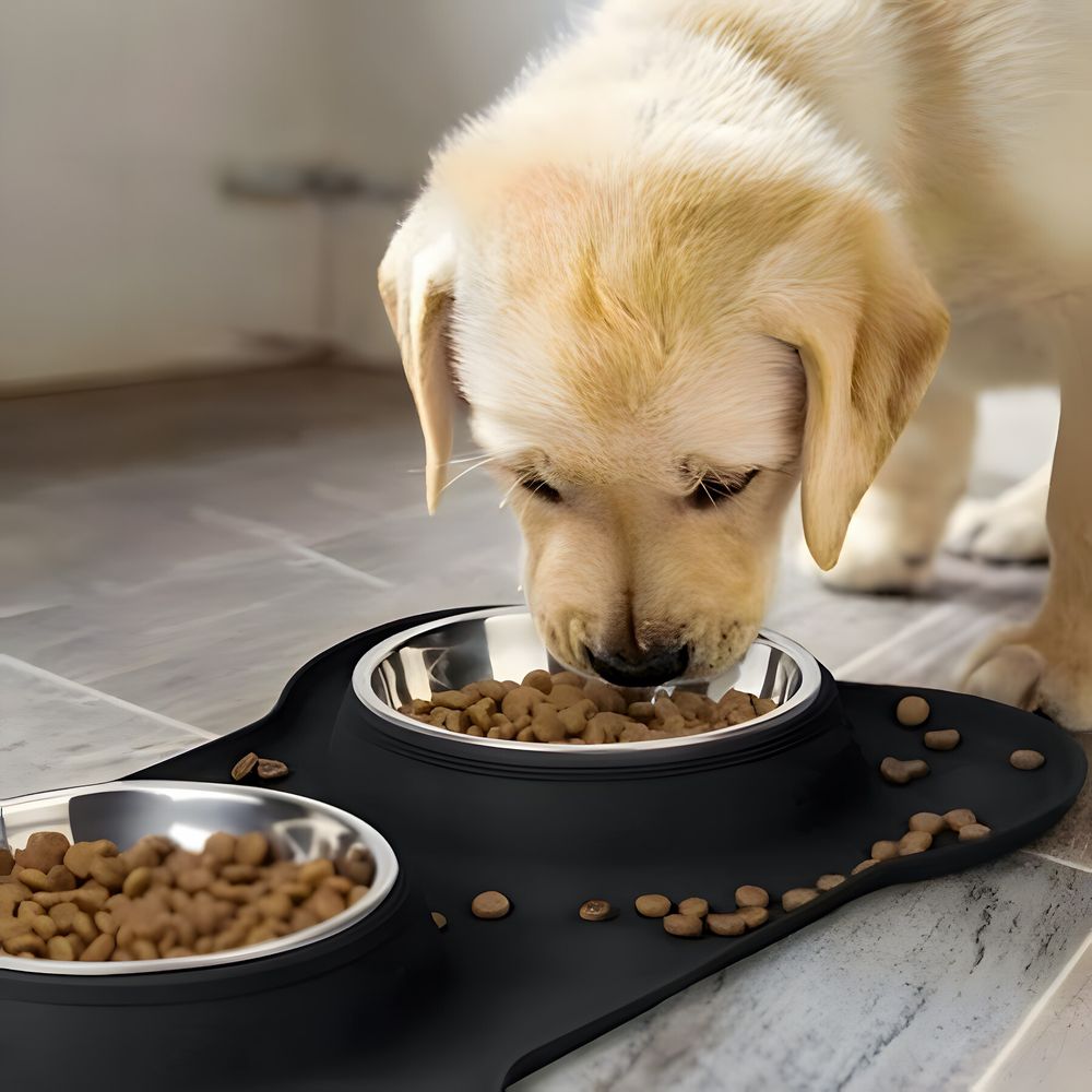 Futterstation für Katzen und kleine Hunde, 2er Futternapf Set, Fressnapf Hundenapf Katzennapf, Napf Silikon Ständer Retoo
