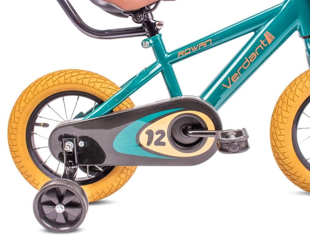 Ruedines y cubierta de la cadena vistos de cerca en la bicicleta.