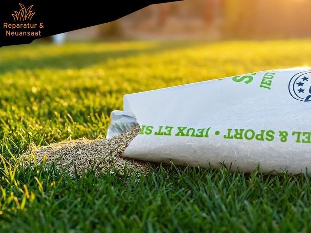 FUXTEC Rasensamen Spiel- & Sportrasen FX-RSSP5 | robuster Gartenrasen | hohe Keimfähigkeit | 5 kg für ca. 250 m²