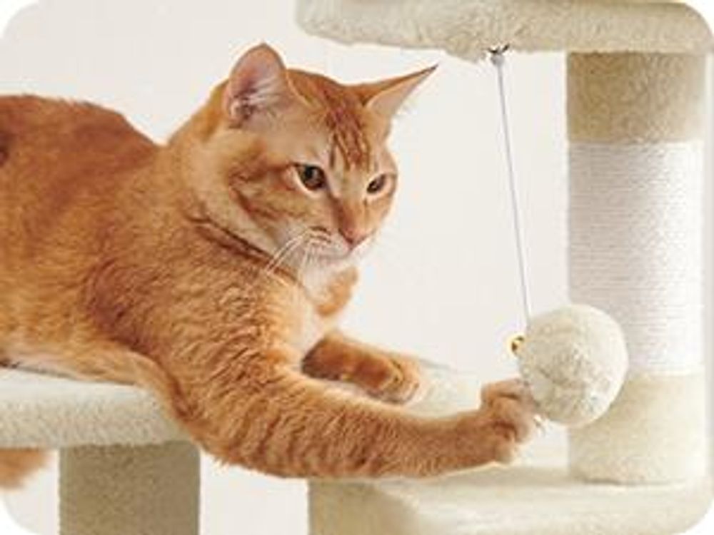FEANDREA Kratzbaum, 112 cm, Katzenbaum mit Hängematte, mehrstöckiges Katzenhaus, Beige