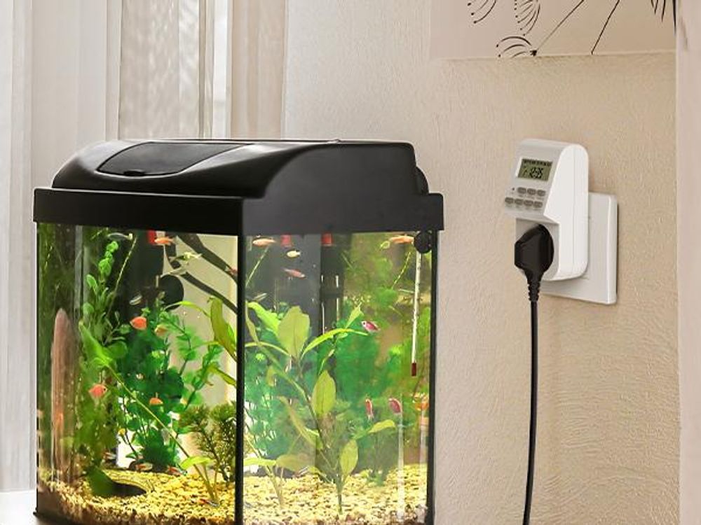 DEWENWILS Digitale Zeitschaltuhr Steckdose, programmierbar mit LCD Display ,3680W