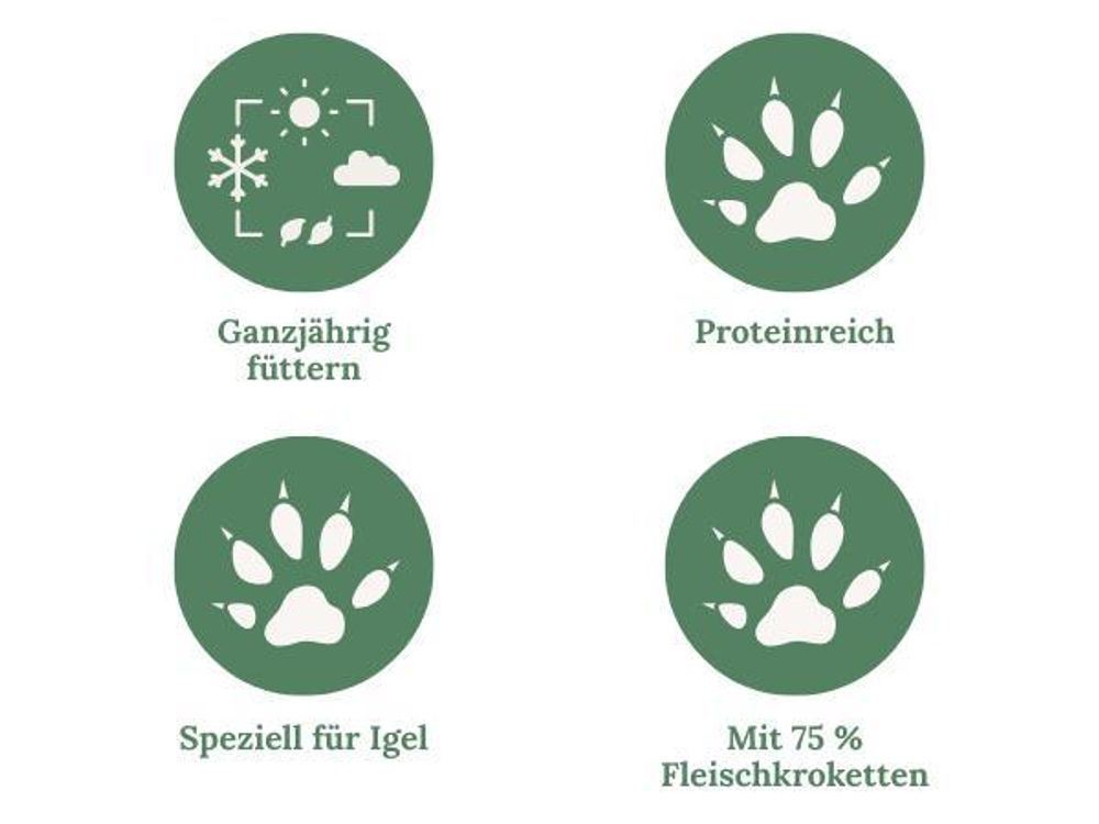 Stichpunkte und Icons