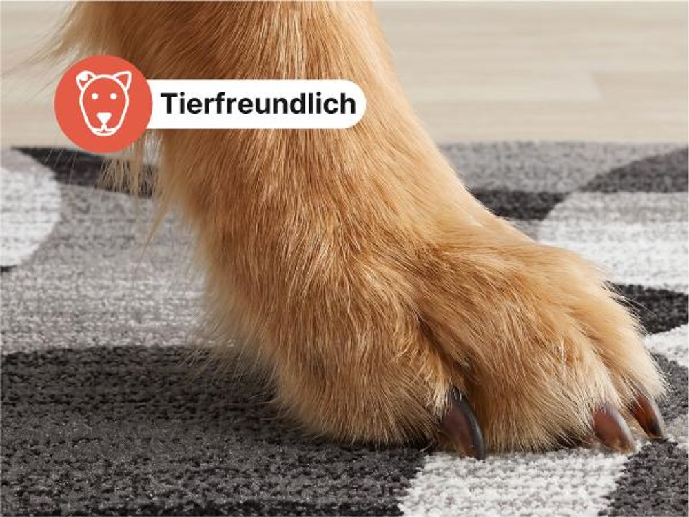 Tapiso Teppich MAYA Modern Schwarz Grau Schlafzimmer 300 x 400 cm