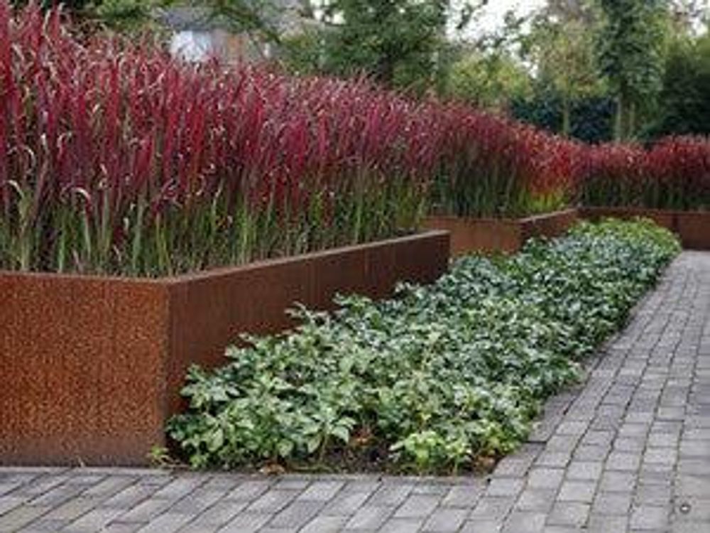 Rote Halme über Cortenstahl-Hochbeet, gepflasterter Weg