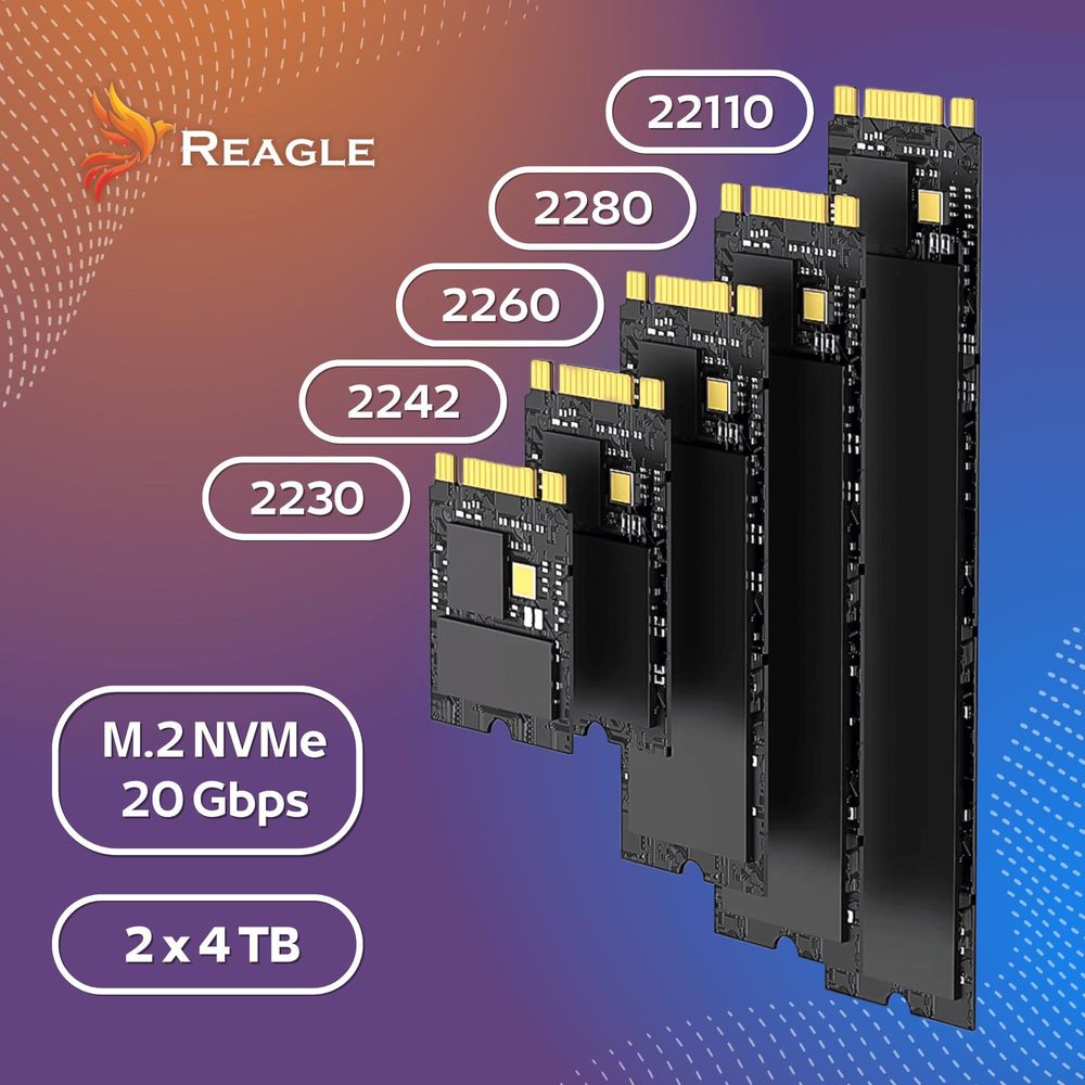 M.2 NVMe SSD Cloning Station Docking Station 20Gbps USB C 3.2 Gen 2x2 Offline Klonen Adapter für 2 Laufwerke bis 4TB Werkzeugfrei Reagle