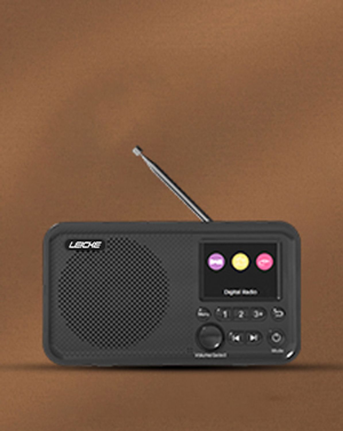 LEICKE DAB Radio Portatile con Bluetooth, Radio Digitale DAB+/FM Ricaricabile