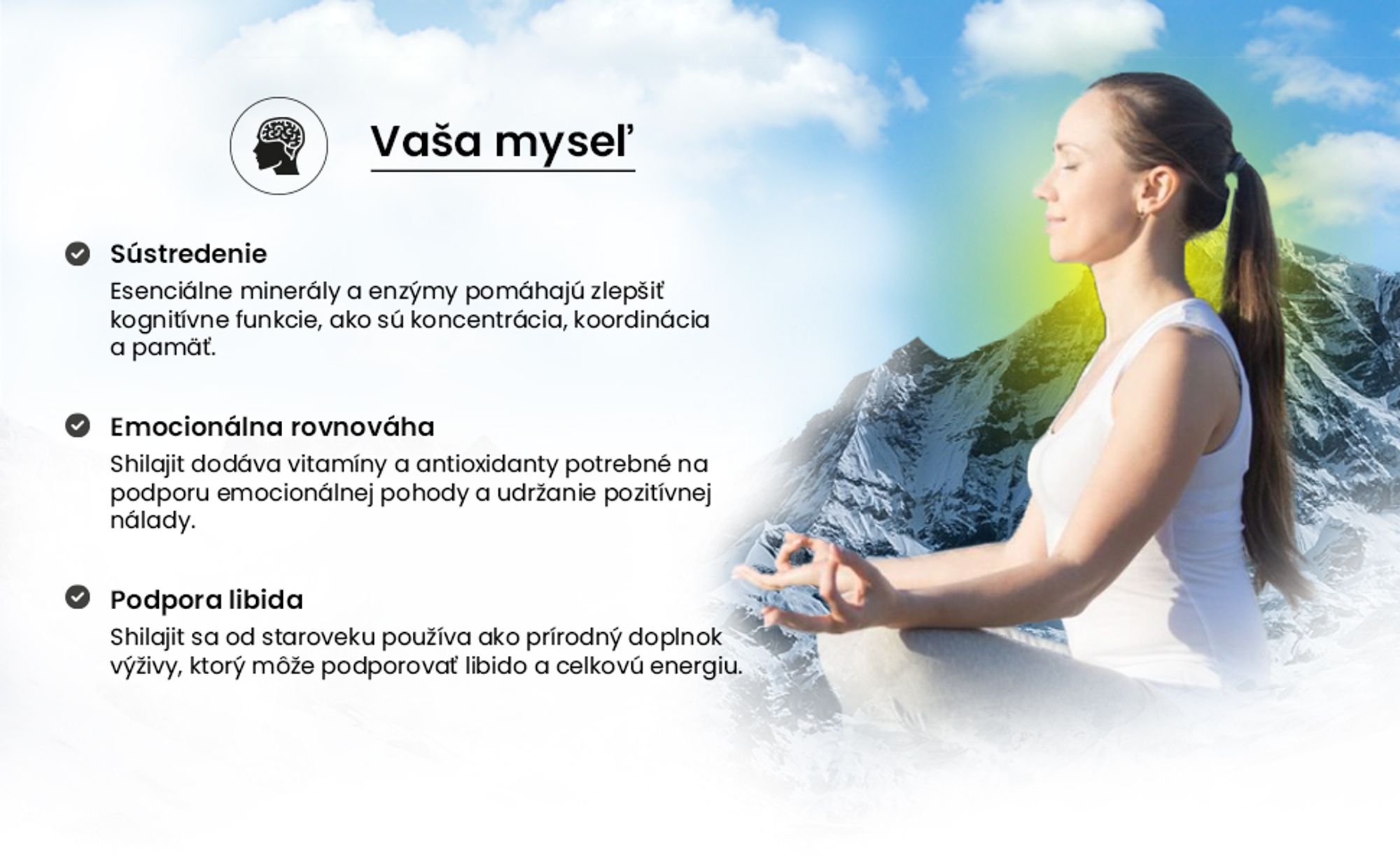 shilajit pre myseľ