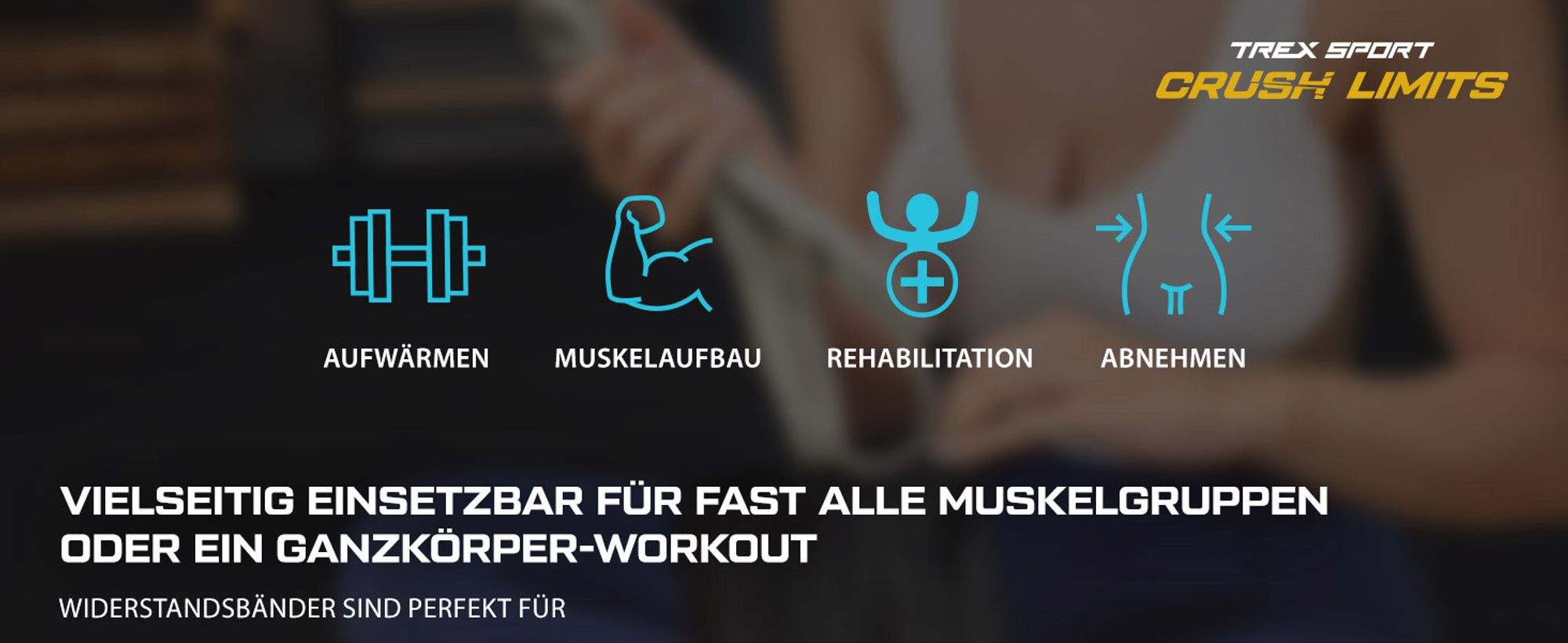 TREX SPORT Gymnastikband 3 Stück Set TX-003PB Widerstandsband | Klimmzugband, Fitnessband 100% Latex, 2-30 kg, mit Türanker | Resistance Band Grau