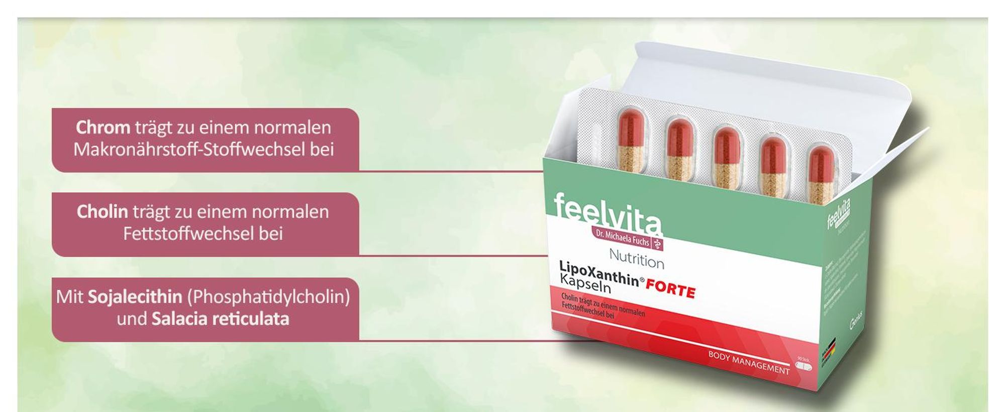 Feelvita Nutrition LipoXanthin Forte Kapseln 3-Monatsvorrat (90 Kapseln)