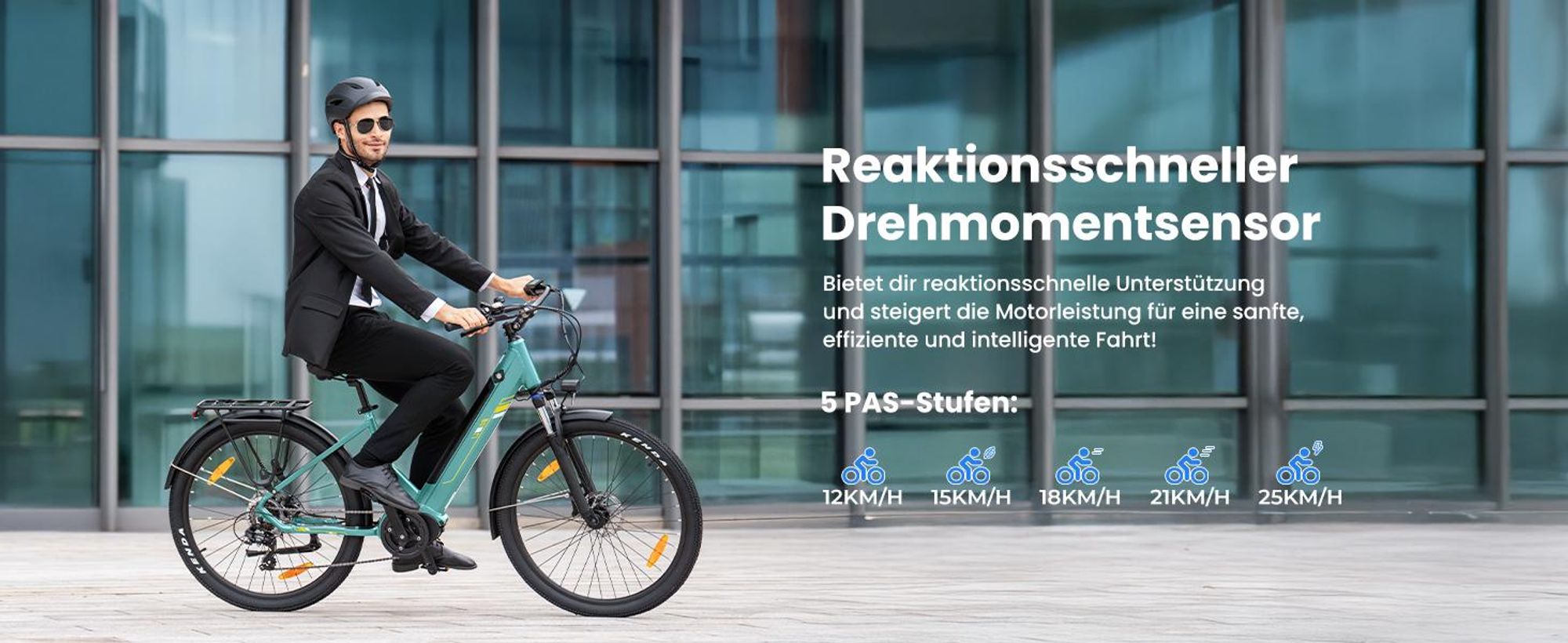 Touroll Urbano 3 E-Bike 250W, 540W Peak, 70Nm Drehmoment, 120km Reichweite, Hydraulikbremsen, Shimano 7-Gang