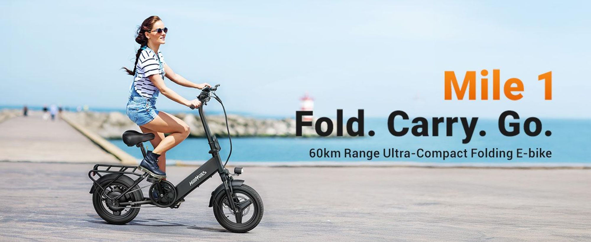 14 Zoll E-Bike Klappräder E-Bikes 250W, 25km/h, 65 km Reichweite, 36V/10.4Ah AKKU Elektrofahrrad Klappbar E-Bike City E-Bikes & E-Hollandräder Faltbar