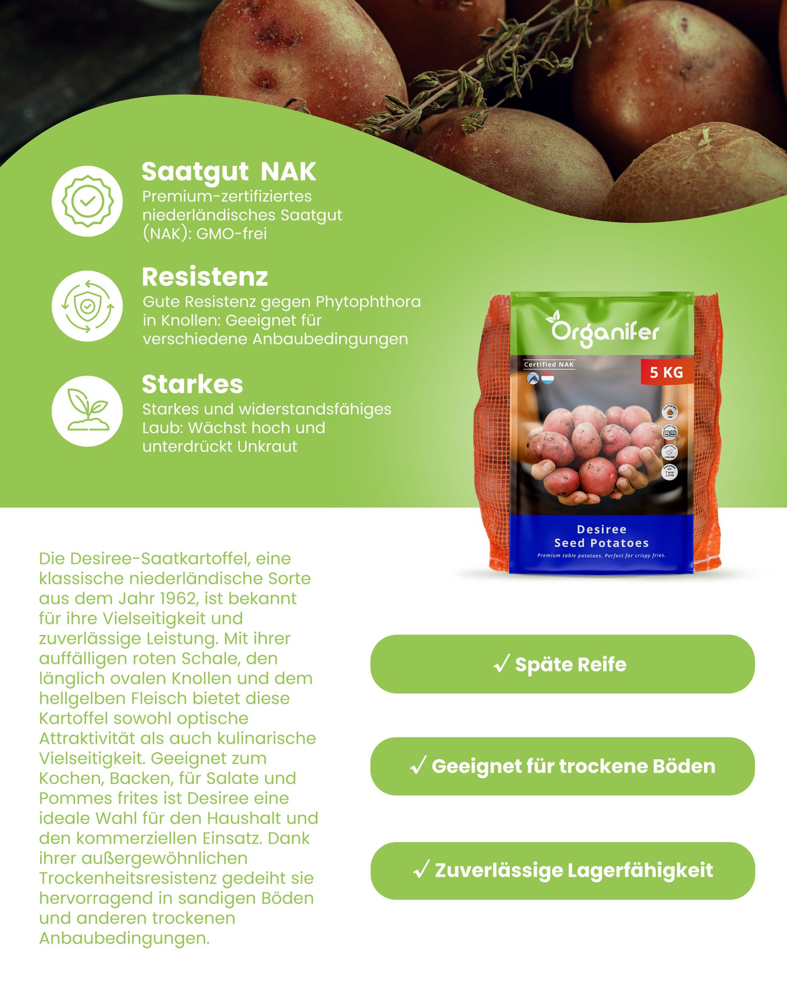 Saatkartoffeln Desiree A 28/35 (10 kg) - Organifer