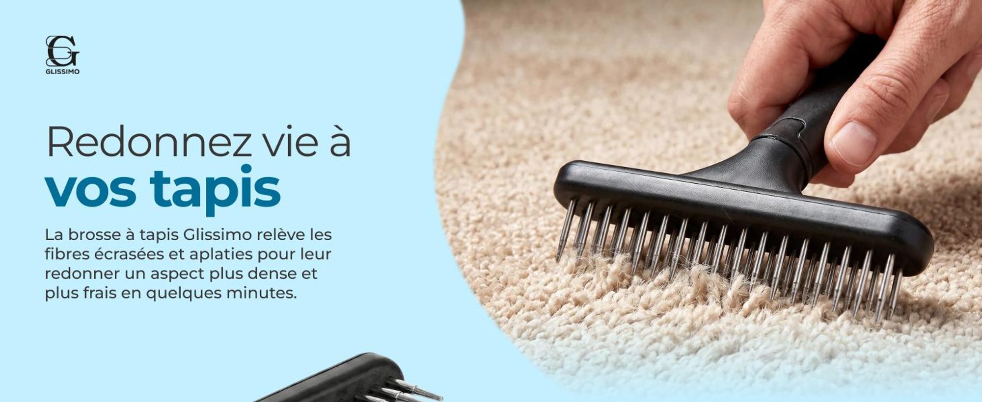 Brosse pour tapis Glissimo pour redonner du volume aux fibres convient aux animaux domestiques pour réparer les tapis aplatis design ergonomique