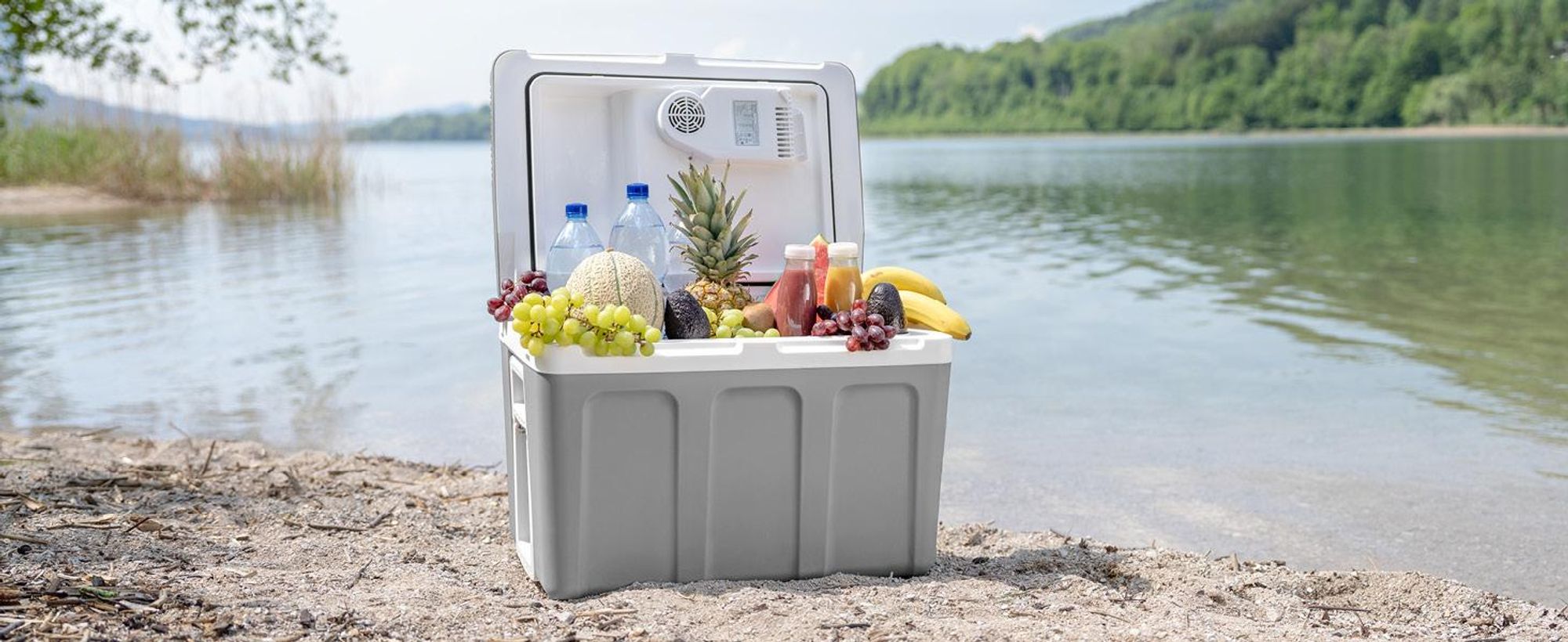 TZS First Austria - Kühlbox 45L elektrisch 12V 230V Anschluss für Auto & Steckdose - Thermoelektrisch - Grau