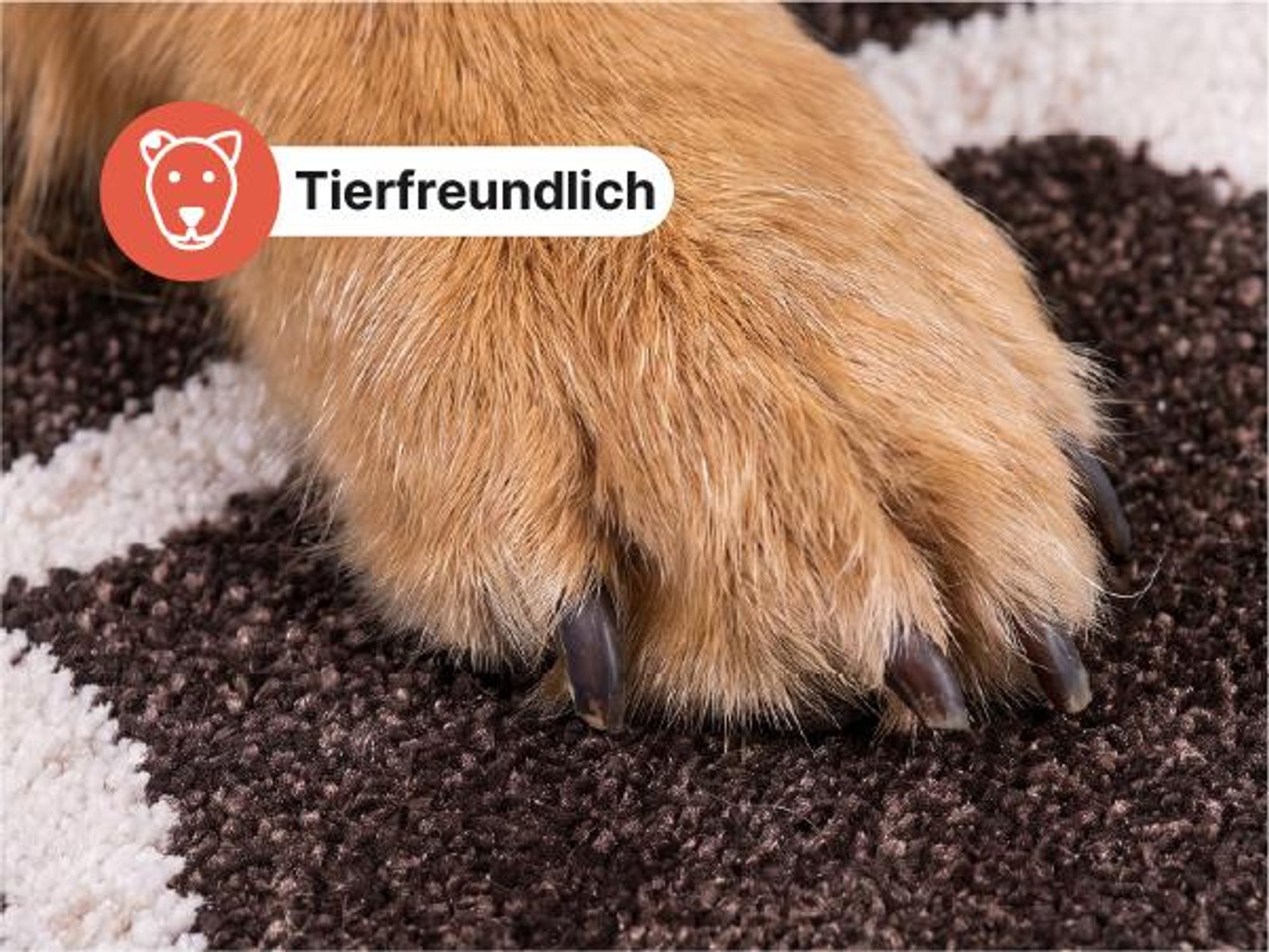 Tapiso Läufer SARI Modern Creme Wohnzimmer 120 x 300 cm