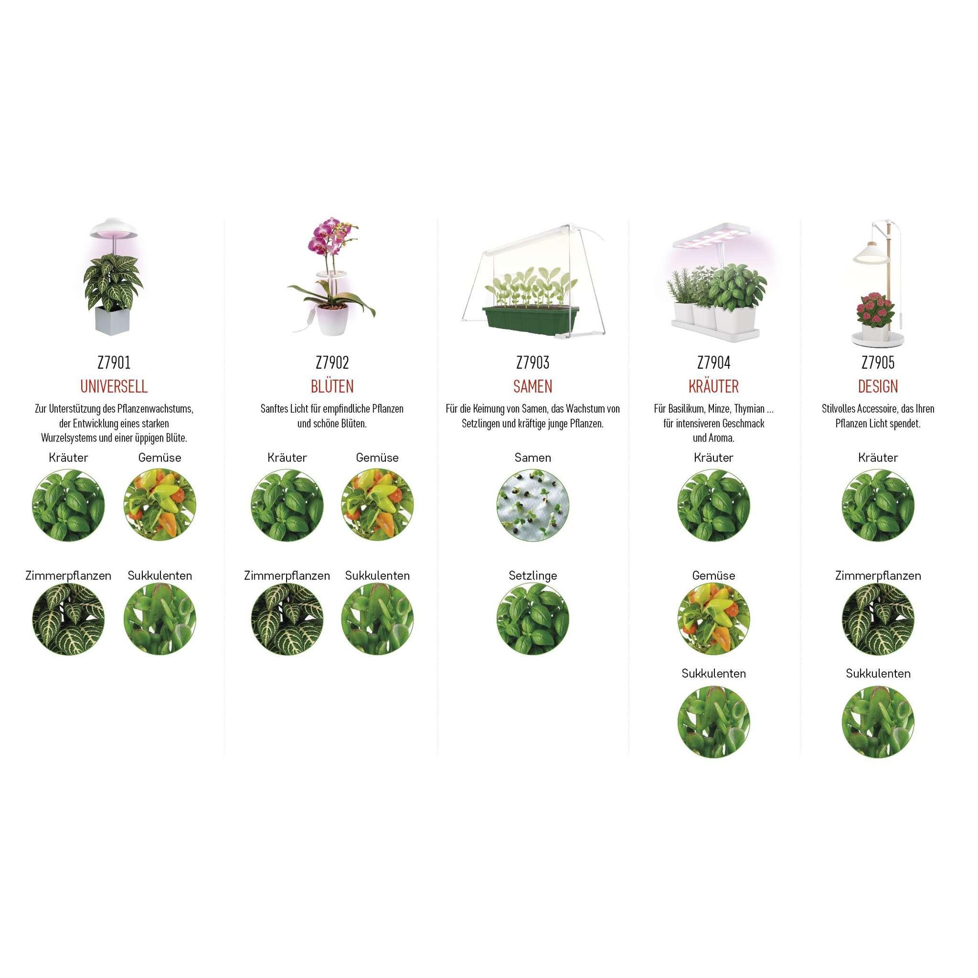 EMOS LED-Grow-Lampe für Zimmerpflanzen und Sukkulenten, Wachstumslampe in Schirm-Design mit Timer, höhenverstellbar, 235lm, 1,5m USB-Kabel, Z7901