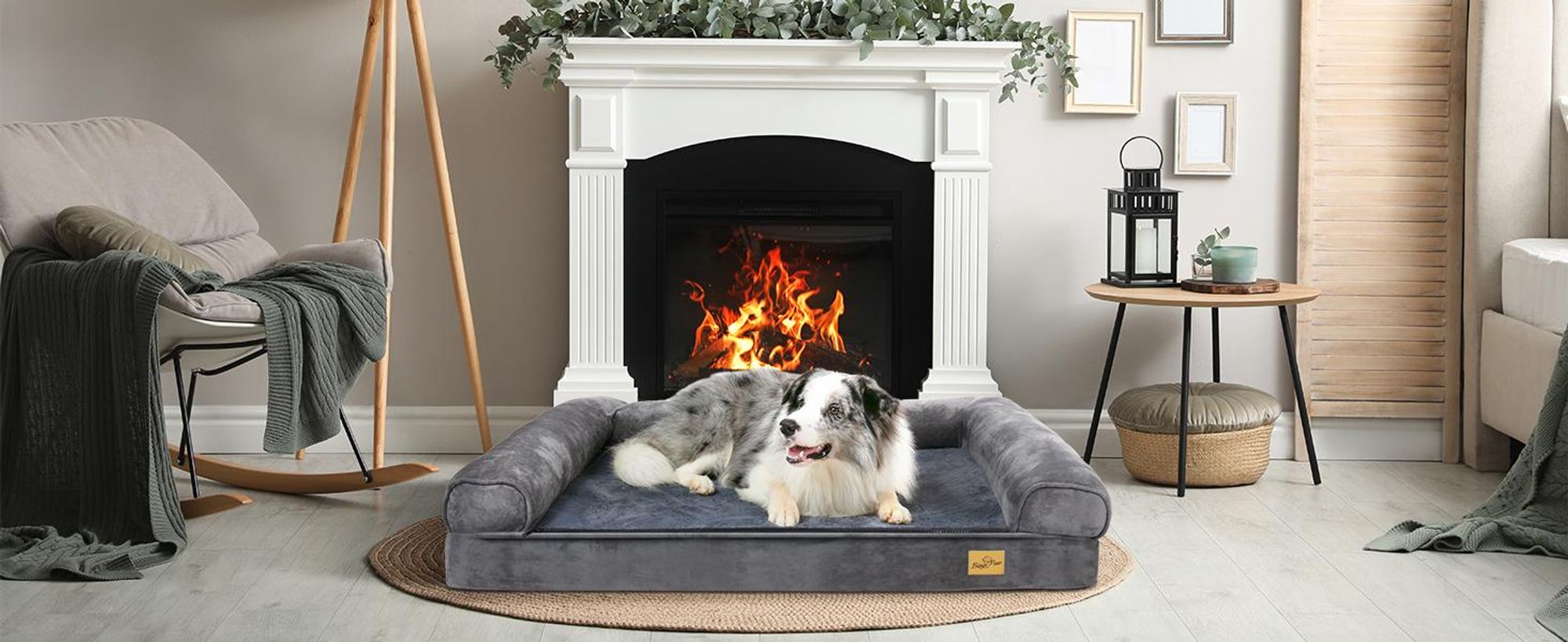 WISFOR Hundesofa Orthopädisch Hundebett Hundecouch für klene Hunde, wasserfest waschbar Bezug abnehmbar M: 80x60x16cm