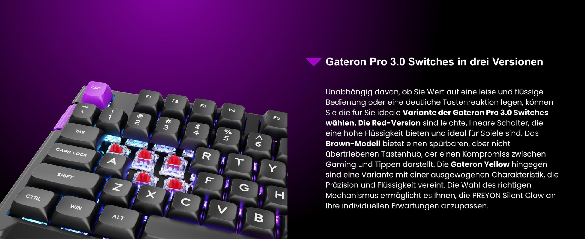 PREYON SILENT CLAW Tastatur Gaming-Tastatur - Gateron Yellow Pro 3.0 Gasket Mount - LCD Anzeige - ohne Zifferntastatur - RGB-Beleuchtung