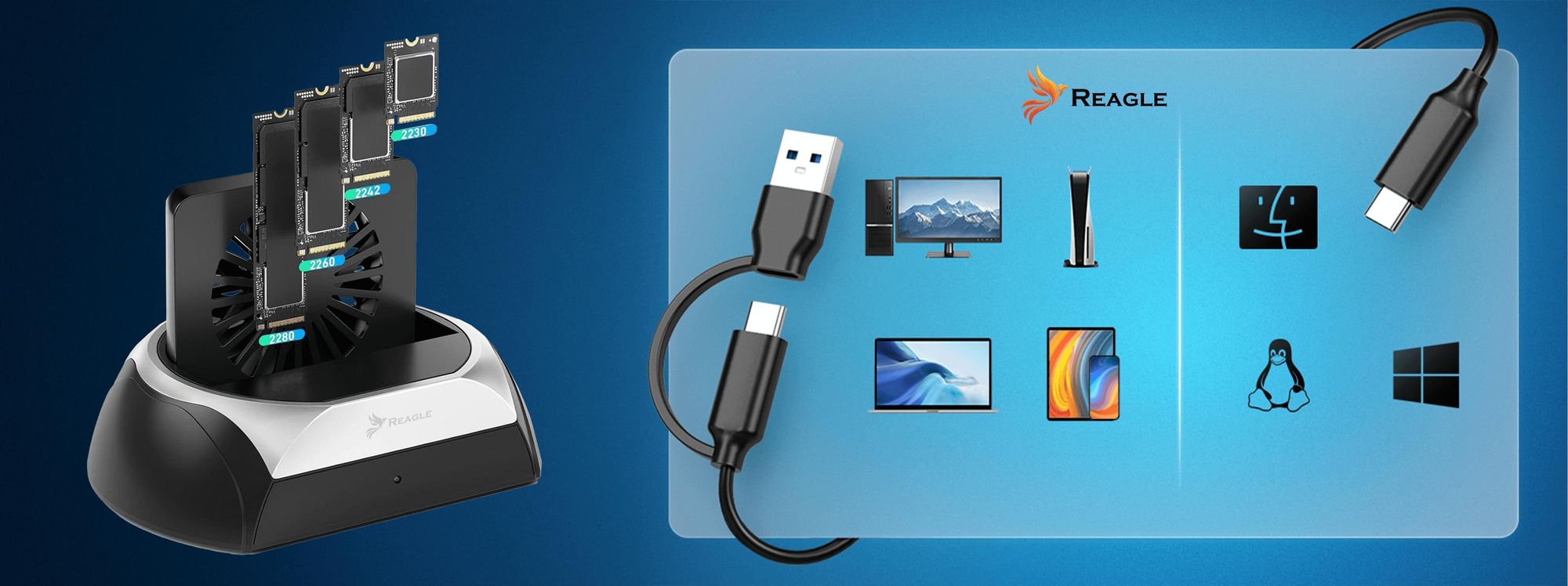 Dockingstation für Festplatten HDD SSD SATA und M.2 NVMe SSD Reader USB 3.2 5Gbps Reagle mit Lüfter für Datenübertragung Windows macOS Linux