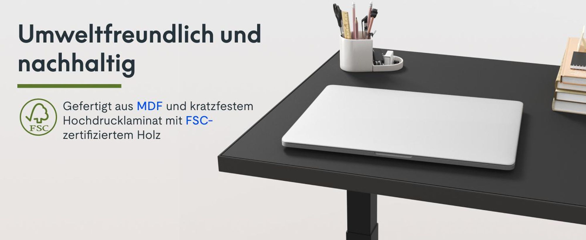 FLEXISPOT Höhenverstellbarer Schreibtisch EU, 19mm Einteilige Tischplatte 140x80cm, Elektrisch mit 2 starken Motoren, 4 Memory-Funktion, Schwarz