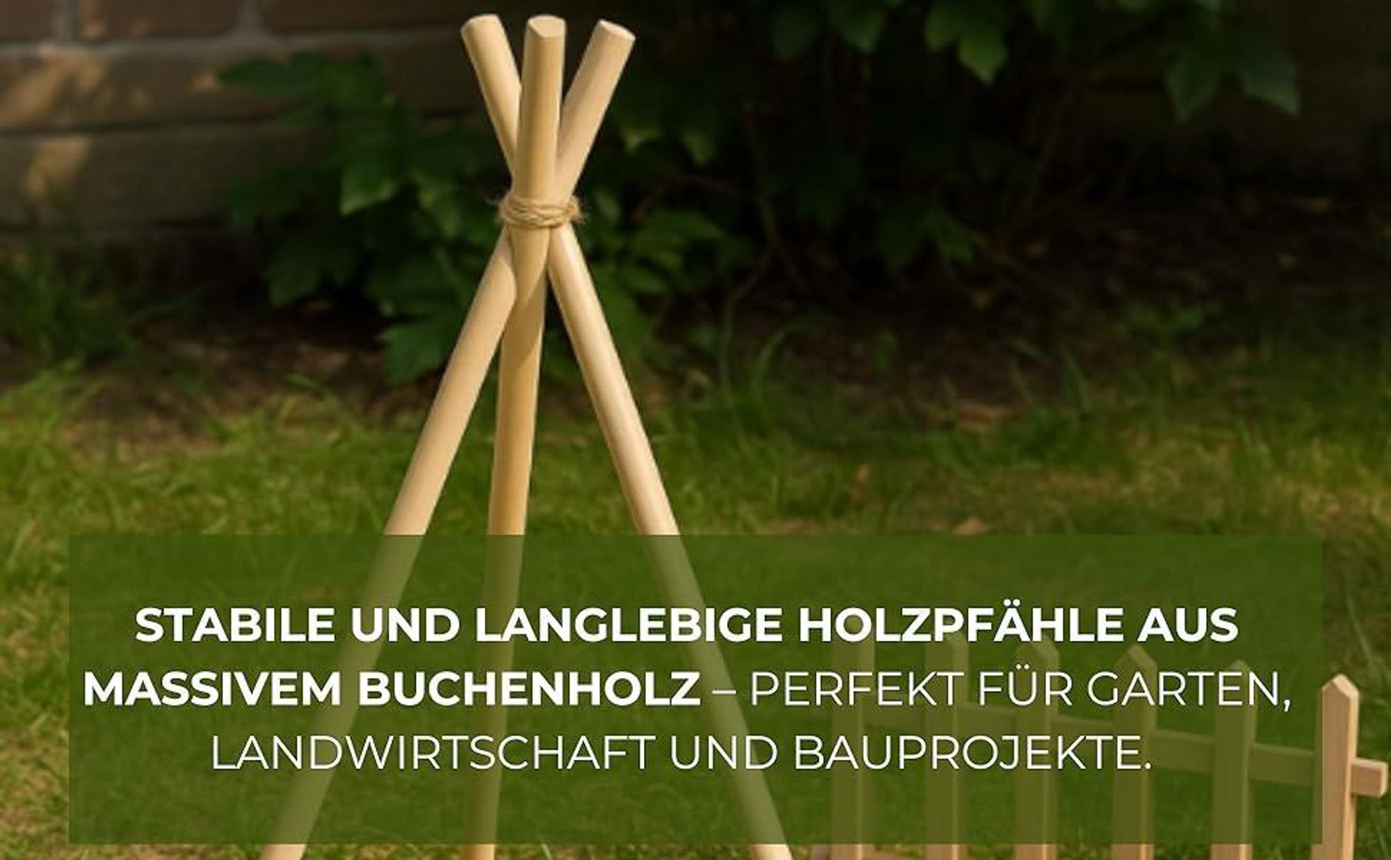 25 Stück Buchenholz Ovale Holzpfähle ⌀ 18 mm Länge 78 cm Zaunpfosten Robuste Pflanzstäbe Tomaten Rankhilfe Tomatenstangen Pflanzenstützen