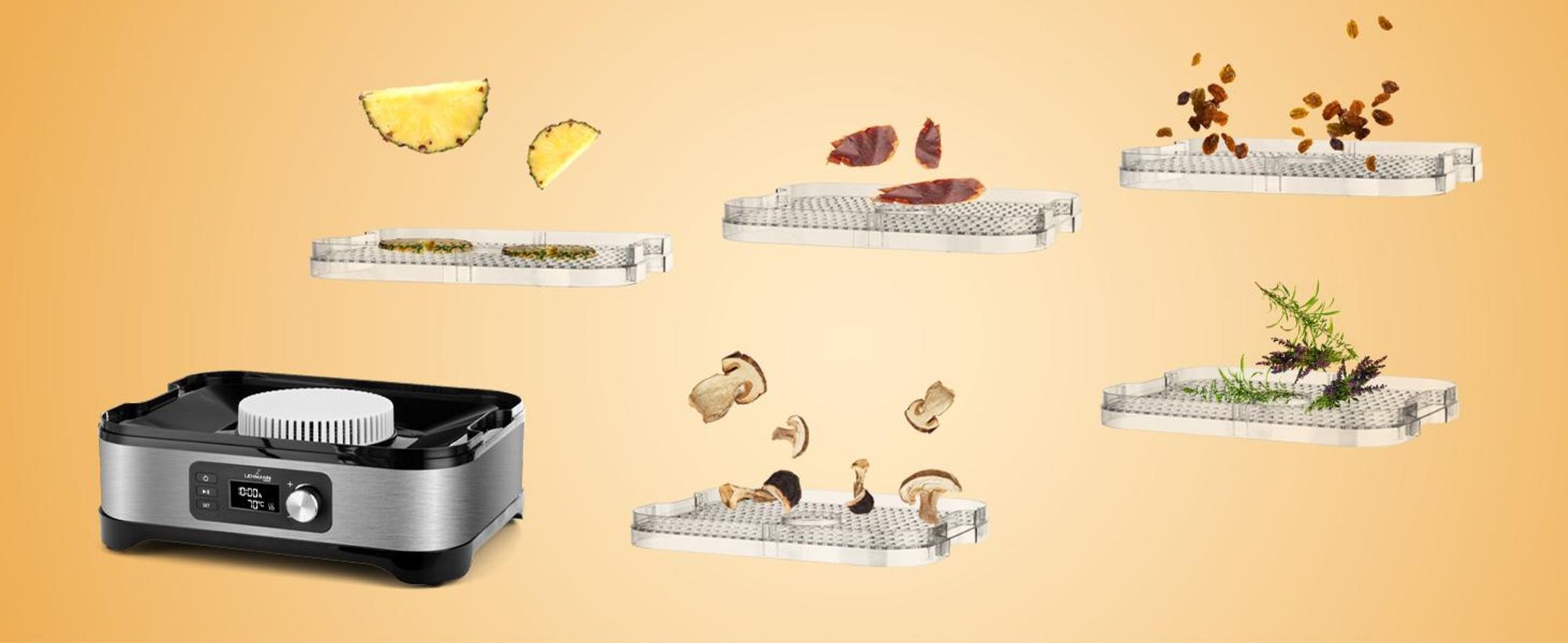 LEHMANN Essiccatore Alimentare con 5 Vassoi, Temperatura 35°-70°, senza BPA, 450W