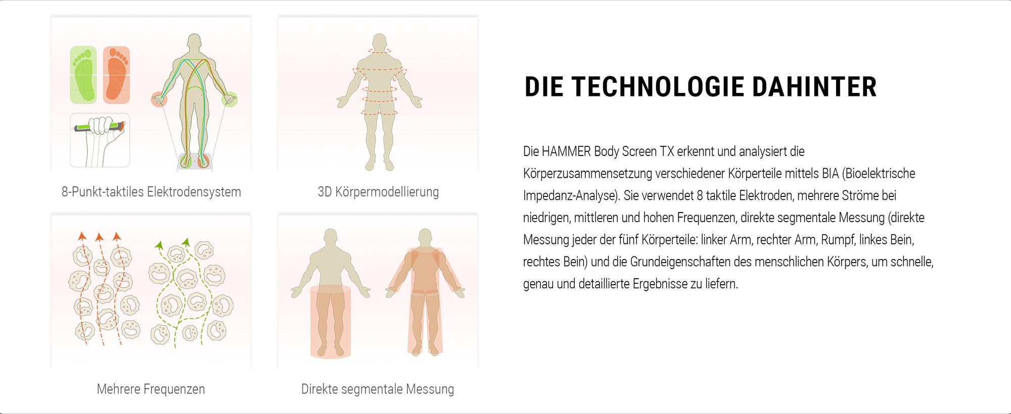 HAMMER Körperanalysewaage Body Screen TX, schwarz, 8 Sensoren, 15 Messungen inkl. App