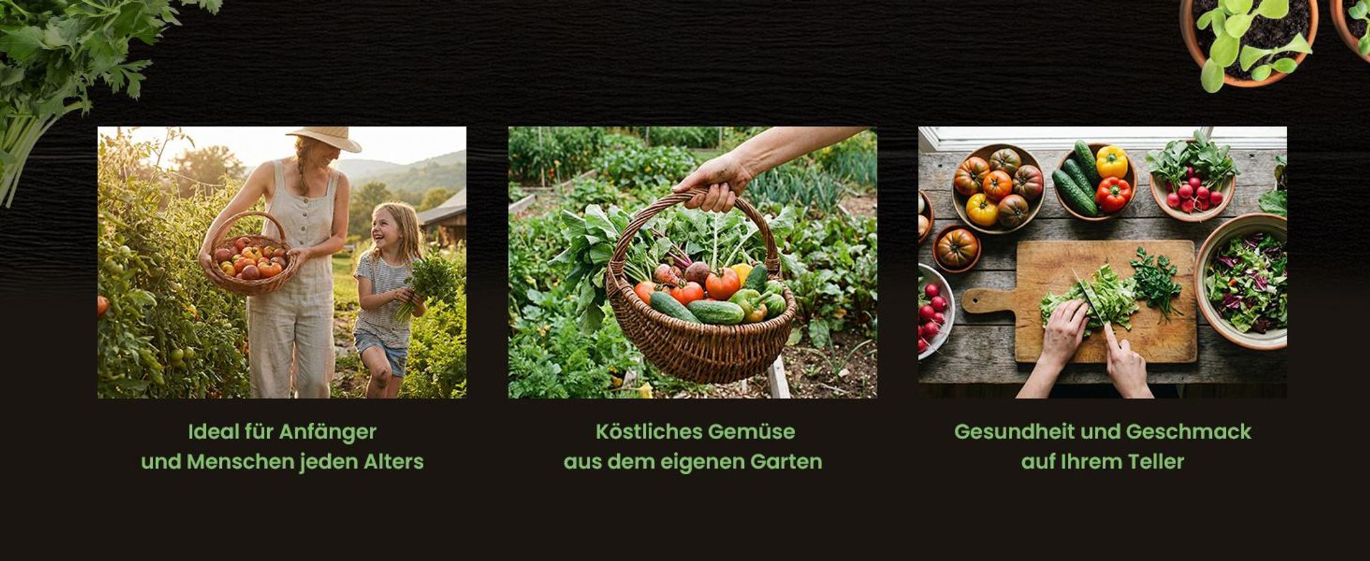 Green Harvest Gemüsesamen Set, 20 Sorten, 20 Beutel, Saatgut für Garten