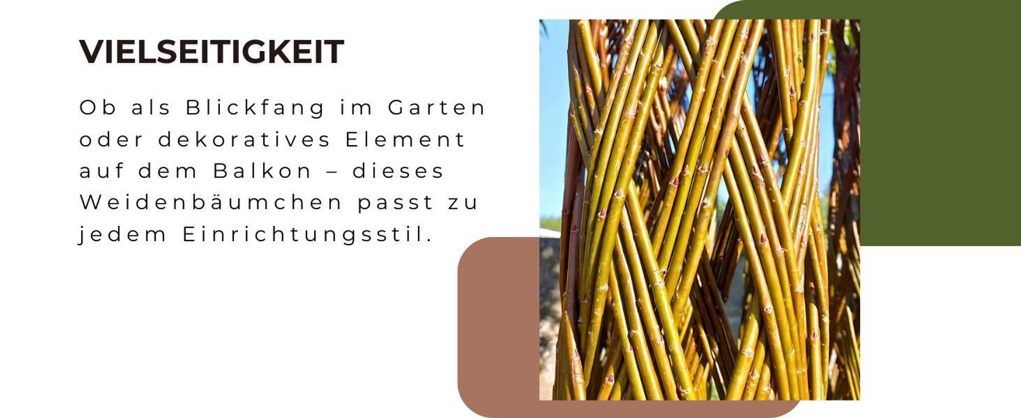 Geflochtener Weidenbaum 160 cm Geflochtene Weide - Dekoration für Terrasse und Garten Junge Weidentriebe