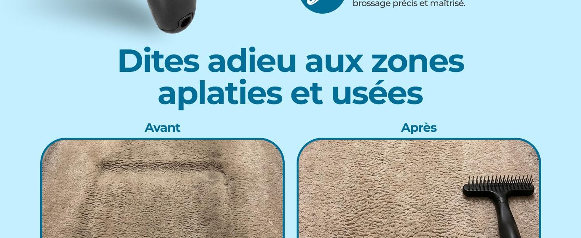 Brosse pour tapis Glissimo pour redonner du volume aux fibres convient aux animaux domestiques pour réparer les tapis aplatis design ergonomique