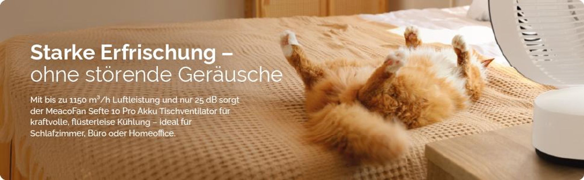 MeacoFan Sefte® 10 Pro – Akku-Tischventilator, 25 dB leise, 40 Std. Laufzeit, 1150 m³/h Luftleistung, 12 Geschwindigkeitsstufen, 3D-Oszillation
