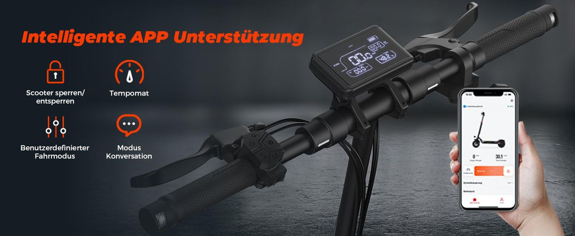 E Scooter mit Straßenzulassung, 10 Zoll Offroad Luftreifen, Batterie 12,5 Ah 60–70 km Reichweite, LCD-Instrumententafel, Maximale Tragfähigkeit 150 kg