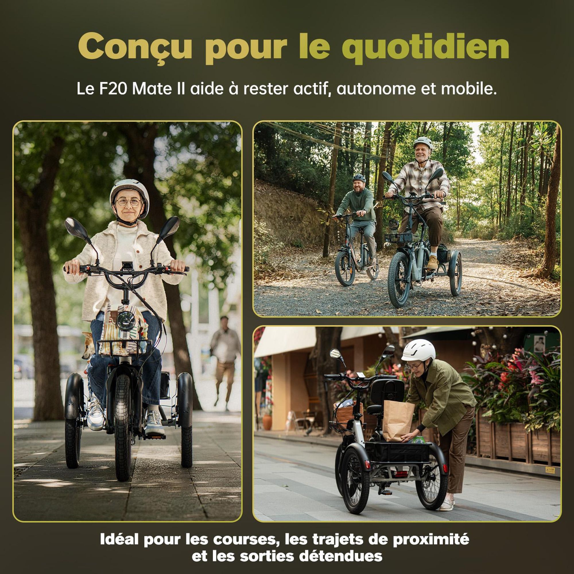 Vélo électrique FAFREES F20 Mate II - Moteur 250W batterie 48V21Ah pneus 20 pouces freins à disque hydrauliques - Noir anthracite
