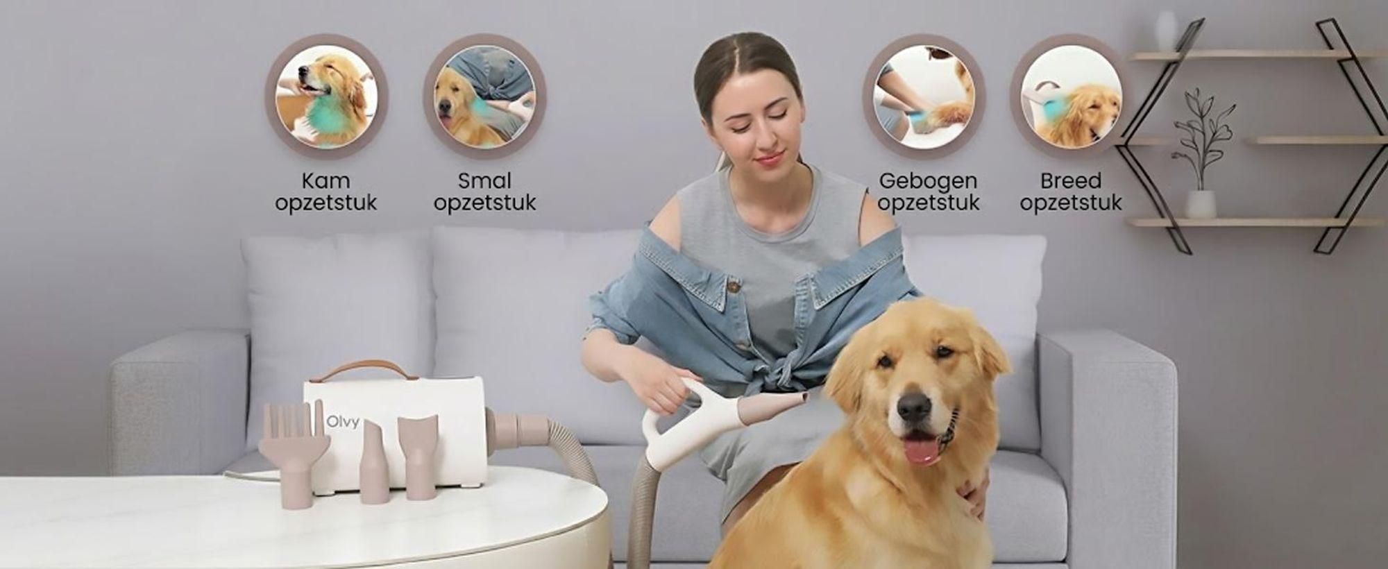 Olvy Pets - Professionele Hondenfohn - Waterblazer voor Honden - Met 4 Opzetstukjes - Honden Droger - Geluiddempend