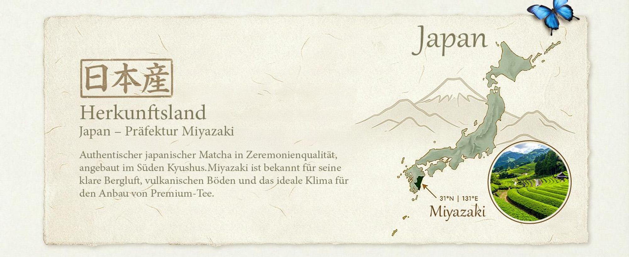 Mary Rose - Matcha Tee Ceremonial Tenno Bio Japan 30g - Hochwertiges Grüner Tee Pulver aus Miyazaki - Mild, Umami - Erste Ernte - Ohne Bitterkeit