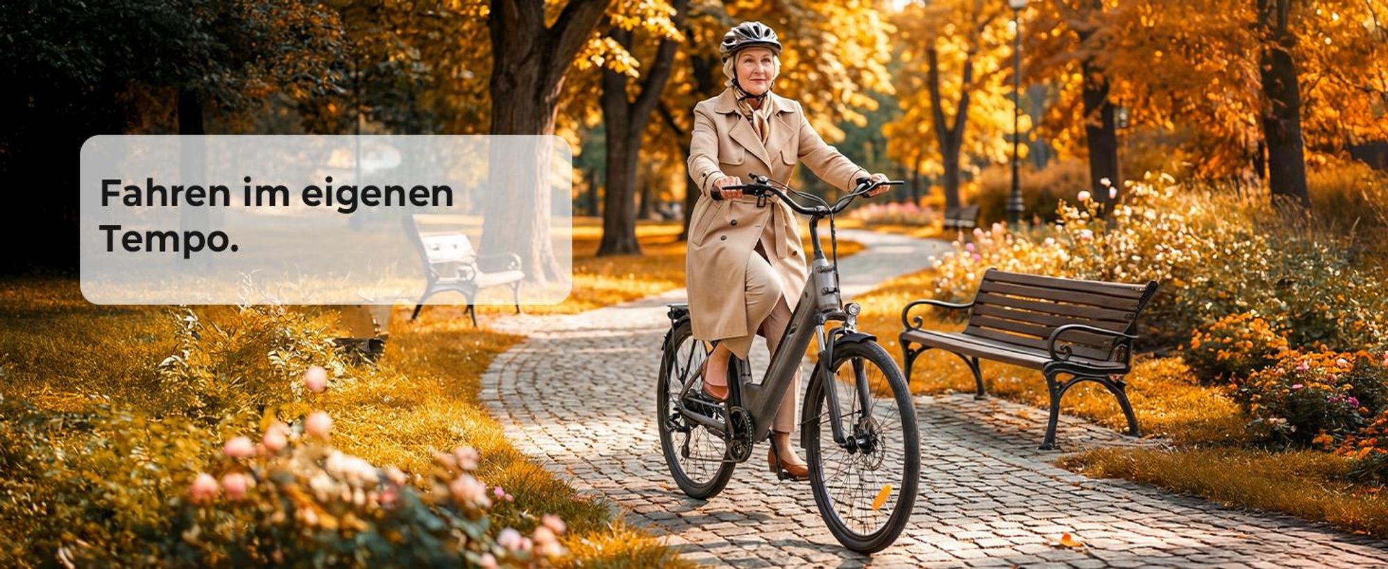 Touroll J2 ST E-Bike 26 Zoll, 250W Motor, 45Nm Drehmoment, 100km Reichweite, Tiefeinsteiger, Shimano 7-Gang, LED Display