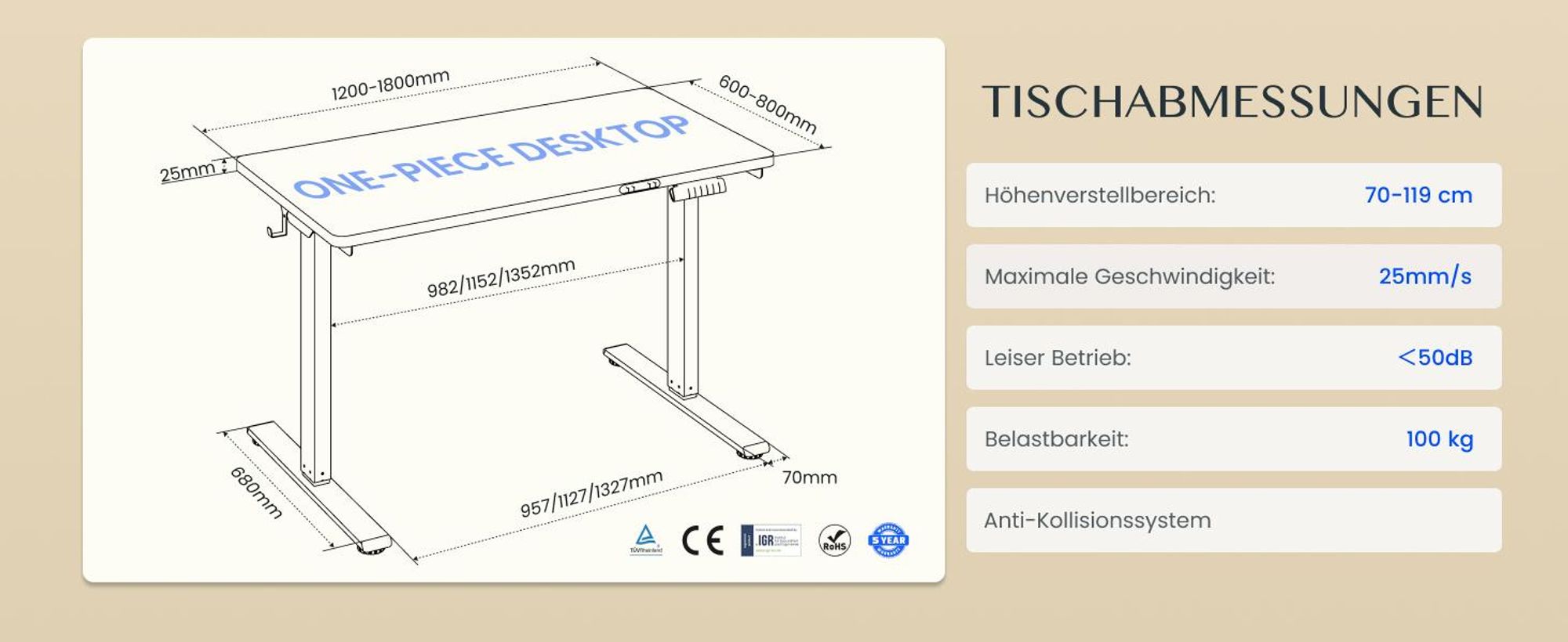FLEXISPOT E1 Pro Elektrisch Höhenverstellbarer Schreibtisch 120x80cm 25MM EINTEILIGE TISCHPLATTE Doppelmotor 120KG Tragkraft 4 Speicherplätze, Schwarz