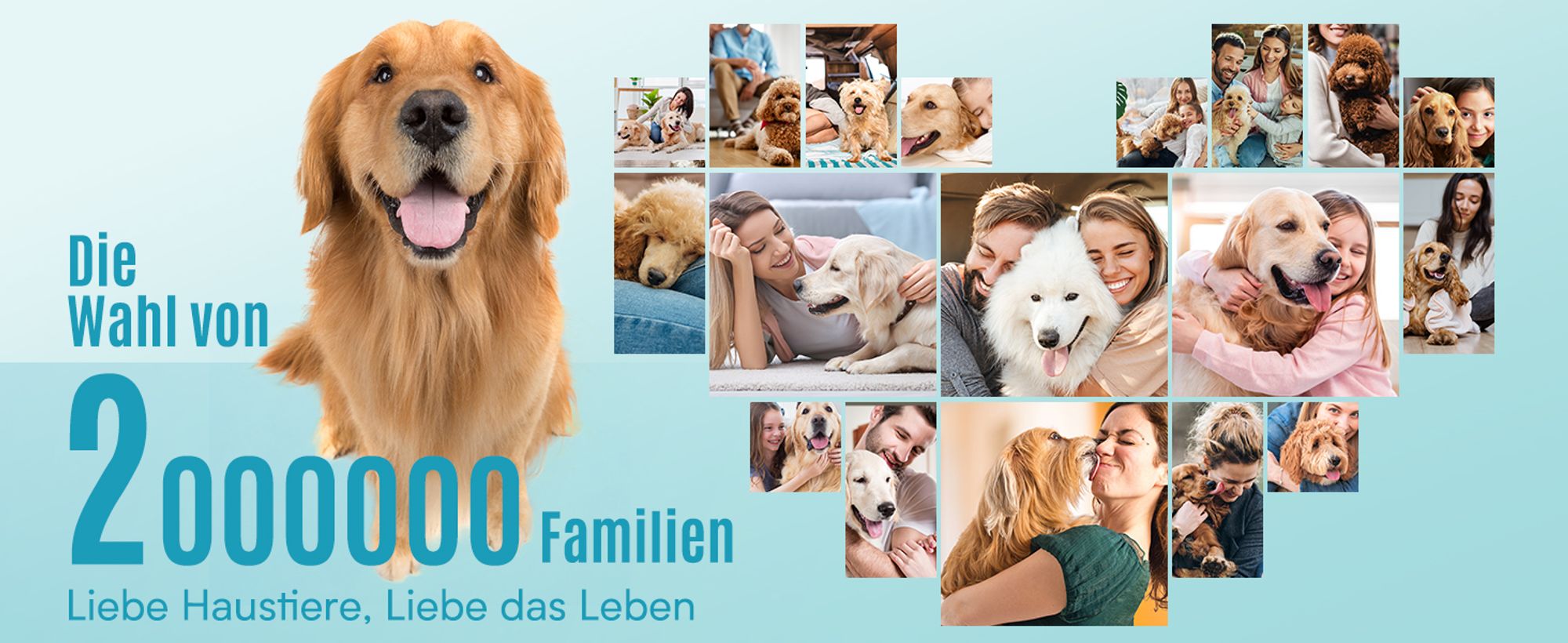 Oneisall Leise Hundeschermaschine, Profi Schermaschine Hund Katze mit 6 Aufsätze