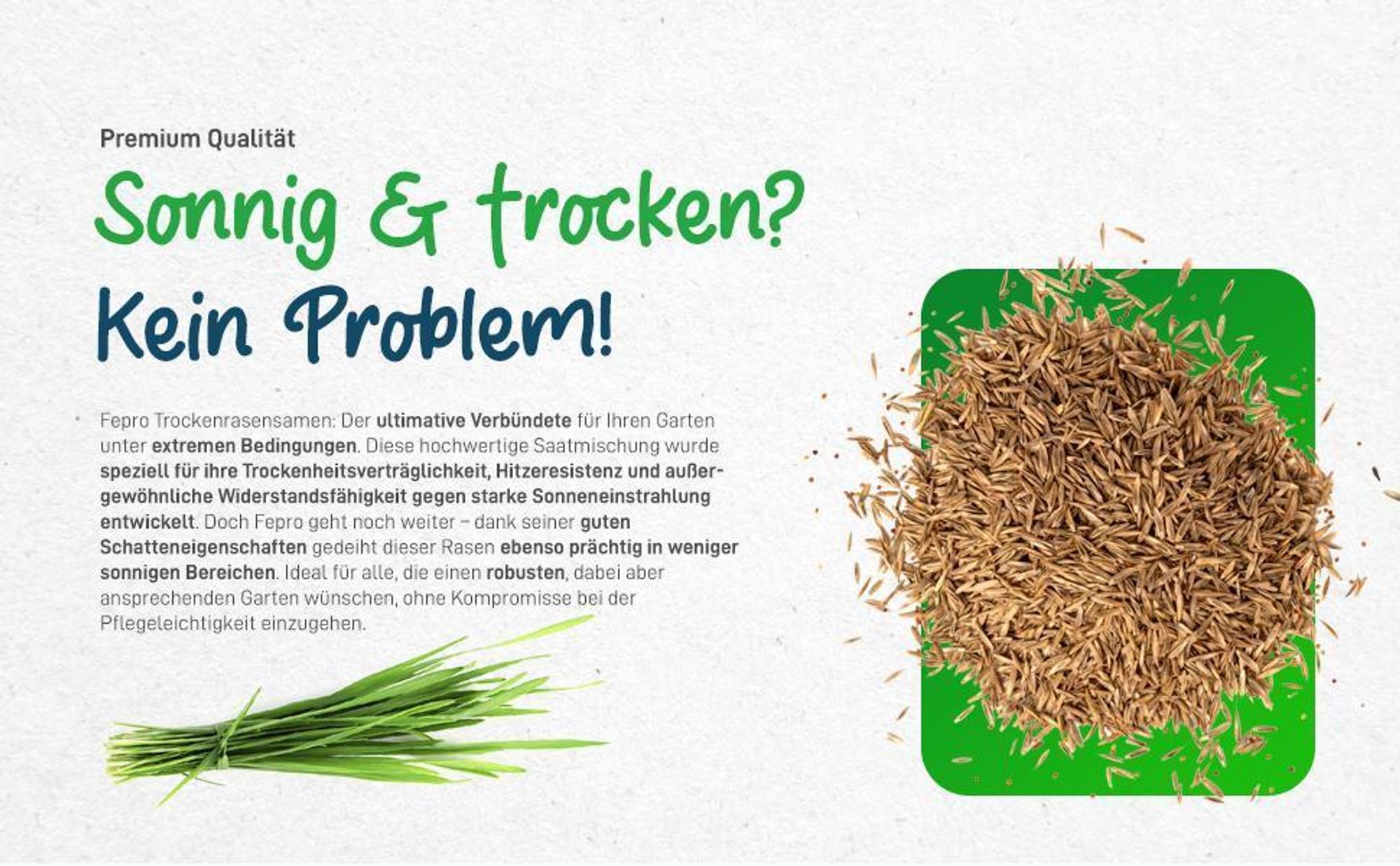 20 kg Rasensamen trockenresistent dürreresistent für Trockenrasen & Schattenrasen Samen Grassamen schnellkeimend, 800m², ideal für Neuansaat und Nachsaat, Rasensaat Grassamen