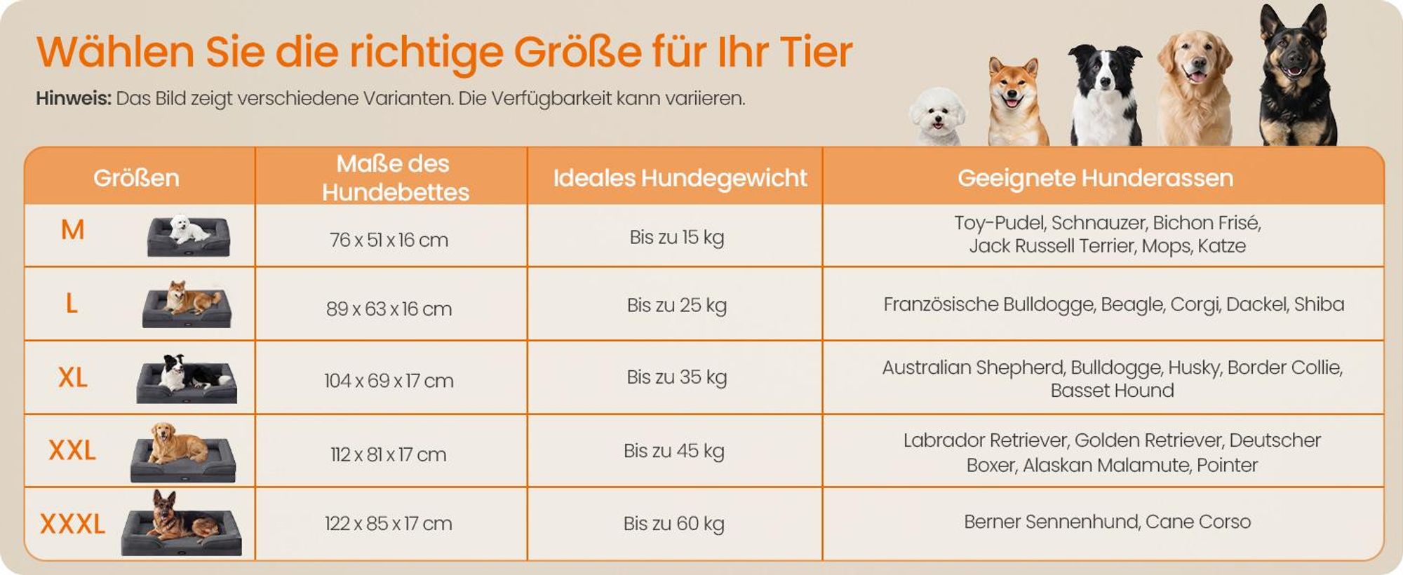 FEANDREA Orthopädisches Hundebett L, abnehmbarer Bezug, erhöhte Ränder, rutschfest, waschbar, Haustierbett, dunkelgrau