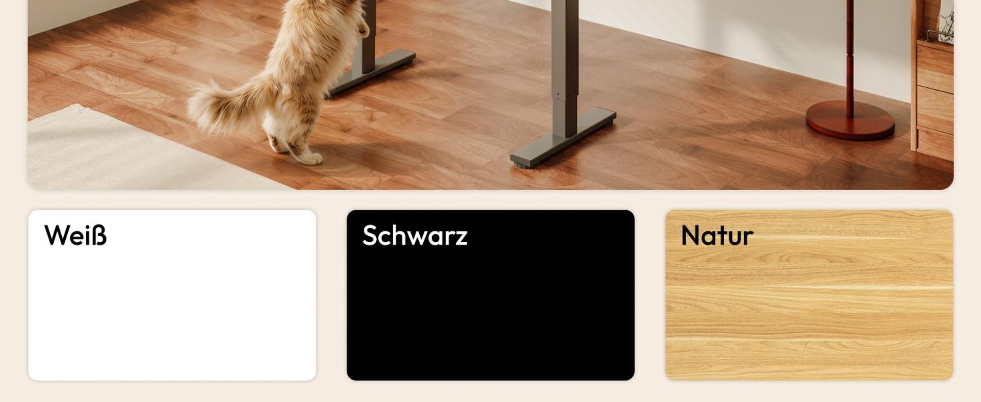 SANODESK QS1 Höhenverstellbarer Schreibtisch, EINTEILIGE TISCHPLATTE, 4 Memory-Funktion, 70 kg Tragkraft, Haken, Kabelmanagement, 110x54cm (Schwarz)