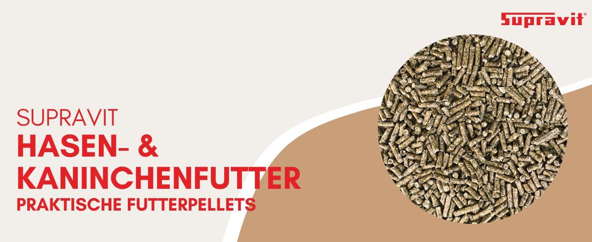 Produktbild auf grafischem Hintergrund