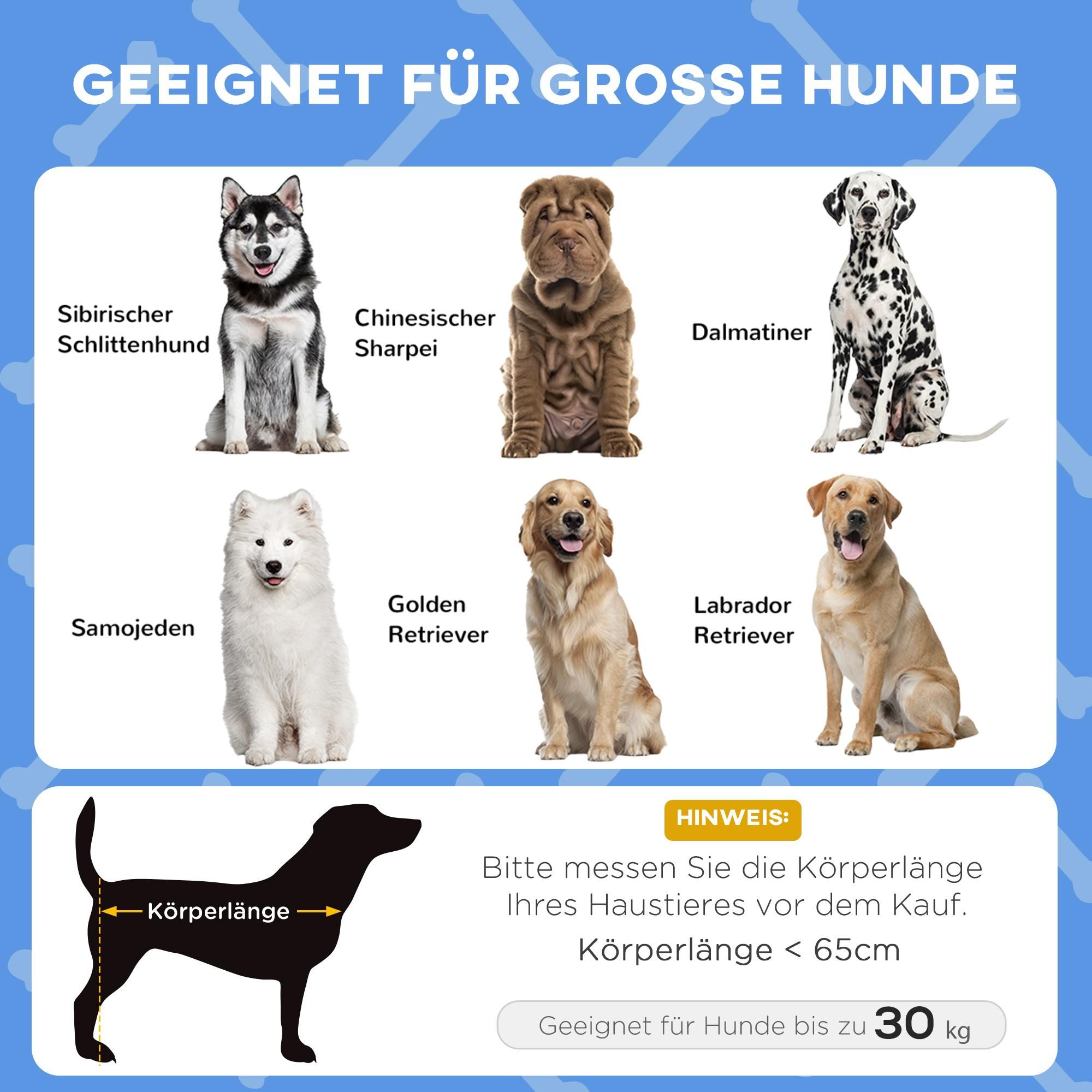 mit Tragetasche erhöhtes Netz