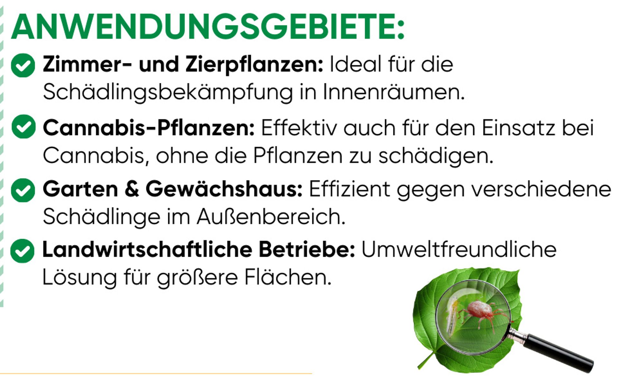 Power Raubmilben gegen Thripse und Spinnmilben, 3 Mix (6Tüten), Biologisches Mittel zur effektiven Thripse & Spinnmilben Bekämpfung – GREEN GUARDIA