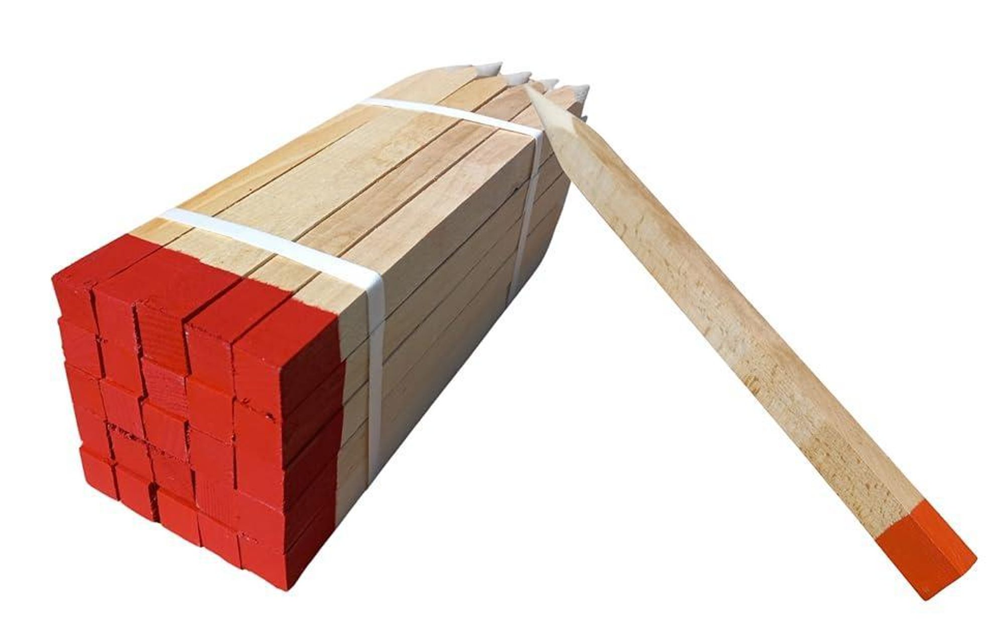 50 Stück Holzpfähle Buche 100 cm – Vermessungspfähle Quadratisch 25x25 mm, Robuste Vermessungspfosten mit Orange Spitze, Pflanzstäbe & Zaunpfosten