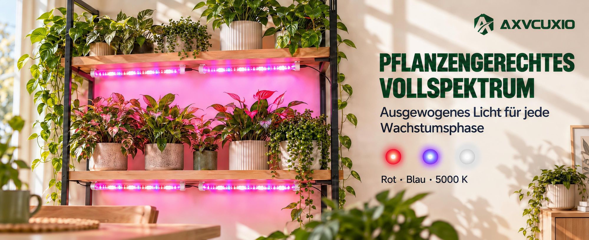 2x 50CM LED Pflanzenlampe Magnetische Vollspektrum,Dimmbar Pflanzenlicht mit Timer,360LEDs,Rot,Blau,5000K,Wachstumslampe Gewächshaus Grow Lampe